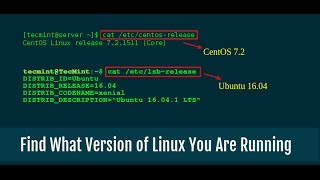 How To Find Linux Kernel And Distro Release Version On Any Linux System