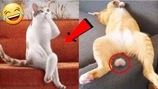 You Laugh You Lose Funniest Cats and Dogs video 2024 part 7