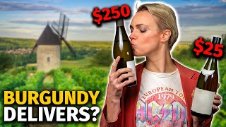 Blind Tasting Through White BURGUNDY. Does the Quality JUSTIFY the Price?