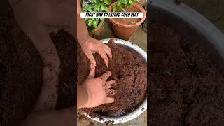 Learn the right way to use coco peat! Watch how to easily expand a 5 kg block|meesho coco peat block