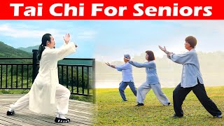 Improve Circulation and Maintain a Good Metabolism  | Tai Chi For Seniors  |  Taichi Zidong