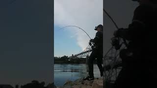 Cape Cod Canal - 7/11/2017