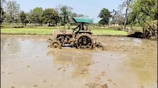 Tractor 🚜 running in paddy cultivation