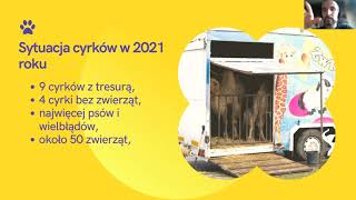 Dostrzegam– warsztat na temat tego, jak dostrzegać i reagować na krzywdę zwierząt.