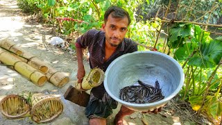 কলা গাছের চোং দিয়ে কিভাবে  শিং মাছ ধরা হোলো দেখুন।village fishing boy & gril.