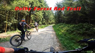 Dolby Forest MTB Trails Red