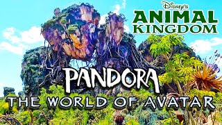 Pandora - The World of Avatar | Disney's Animal Kingdom, Walt Disney World