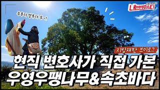 변호사 재판 브이로그｜현직 변호사와 떠나는 우영우 팽나무&속초바다