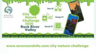 Virtual Playdate #28: Celebrate Earth Day with the Rock River Valley City Nature Challenge! 🌎