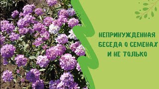 🌷Непринужденная беседа о семенах и не только