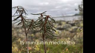 15 minuutin meditaatiorauhaa