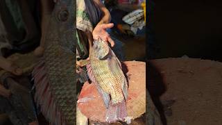 Amazing Tilapia Fish Cutting Skills In Bangladesh Fish Market By Expert Cutter #shorts