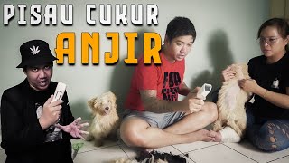 PISAU CUKUR ANJIR (R.I.P HAPPY) Trailer