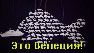 Это Венеция!