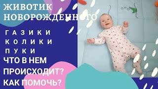 ЖИВОТИК НОВОРОЖДЕННОГО/ГАЗЫ/КОЛИКИ/ЧТО ДЕЛАТЬ