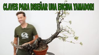 CLAVES PARA DISEÑAR UNA ENCINA YAMADORI Y PASOS PARA LLEVARLO A UN BONSAI SINGULAR .