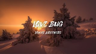 Love Bug - Song by - Jonas Brothers (lyrics & video)