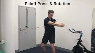 Snow Sports Preparation Exercise: Paloff Press