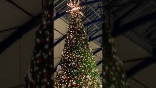 Christmas tree by LNER in Newcastle central station