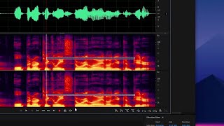 How to remove cellphone noise from your voiceover recording | Adobe Audition