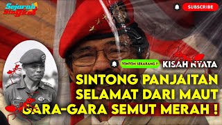 AJAIB ! GARA-GARA SEMUT MERAH SINTONG PANJAITAN LOLOS DARI MAUT !