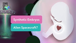 Synthetic Embryos and Alien Spacecraft? | Stars, Cells, and God