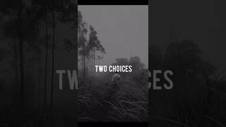 Two choices✌️