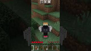 my new minecraft skin