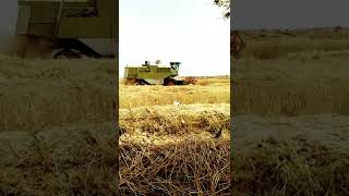 class dominator 88s wheat harvesting in بلوچستان