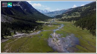 Campioni di biodiversità