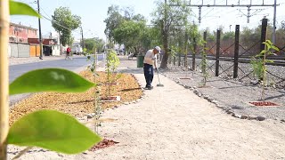 !SEGUIMOS MEJORANDO #PAC!: NUEVA ÁREA VERDE EN AVENIDA MAIPÚ