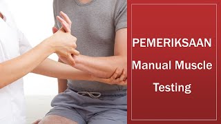 Pemeriksaan Manual Muscle Testing (MMT)