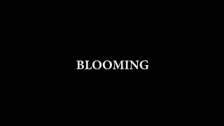 Opening Logos - Blooming (20??/2002/1997/1999) (USA/Canada Print, in slideshow form)