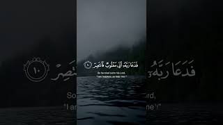 فدعا ربه إني مغلوب فانتصر !🌧️ الشيخ أحمد النفيس 🌿