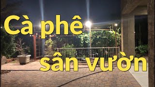 Cà Phê Sân Vườn tại nhà con mình Arizona | Dung Võ Vàm Cỏ