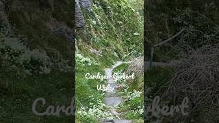 Cardigan-Gwbert, Wales 🏴󠁧󠁢󠁷󠁬󠁳󠁿 Spring 2023. #uk #wales #cardigan #mountains #jalanjalan #tour