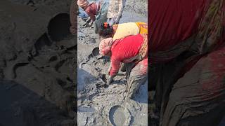 Village women catching huge deshi catfish by hand in mudd water #catch_fish #women_fishing #shorts