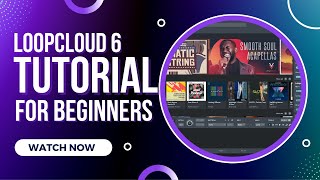 Loopcloud 6 Tutorial  For Beginners