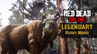 LEGENDARY Ruddy Moose! - Red Dead Online Naturalist Update