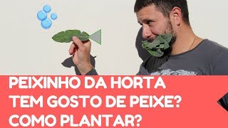 A verdade sobre o PEIXINHO DA HORTA - Tem ou não tem gosto de peixe?