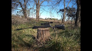 Fox Sr1000 - Caza de palomas/Hunting - Airguns Hunting - Pigeon Hunting.