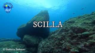 Immersione a Scilla - Immersioni in Calabria a Gennaio 2023