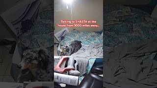 I had to leave my dog at the house this time. Talking to Shasta dog ￼through the ring camera. ￼