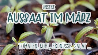 Unsere Aussaat im März | Tomaten, Kohl, Erdnüsse, Salat Anzucht