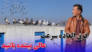 فوق العاده سرعت عالی درهوای گرم بهاری /081Afghan Shawqi