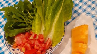 eating green veggies/long lettuce and spinach with tomato yummy