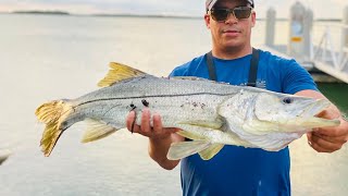 PESCA CON SEÑUELO ROJO EN RAMPA DE BOTES\\Allan Abad