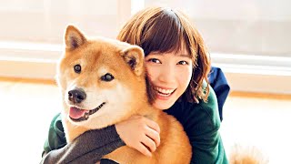 What Were Shiba Inus Bred For?