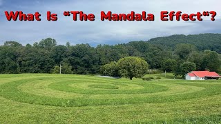 What is “The Mandala Effect" ?