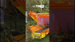 Triturador de Madeiras e outros resíduos - Tiger 500 #shorts